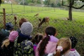 IMG_20221005_132408