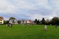 IMG_20221011_140645
