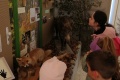 IMG_20221026_090842