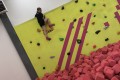 IMG-9372