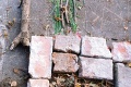 IMG_20241104_111240