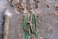 IMG_20241104_111247