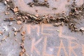 IMG_20241104_111310