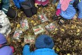 IMG_7828 IMG_7828