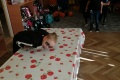 IMG_20211022_125927