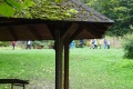 DSC02259