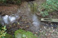 DSC02260