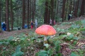 DSC02284
