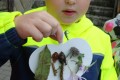 DSC02293