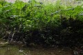 DSC02316
