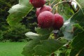 DSC02380