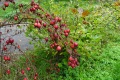 DSC02383