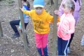 DSC02533