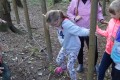 DSC02539