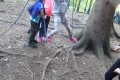 DSC02554