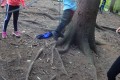 DSC02557