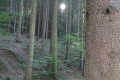DSC02562