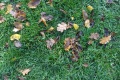 DSC02643