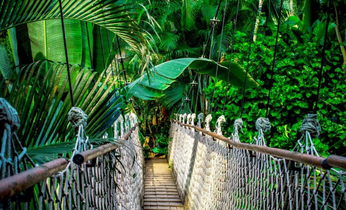 suspension-bridge-g5aeee962f_1280