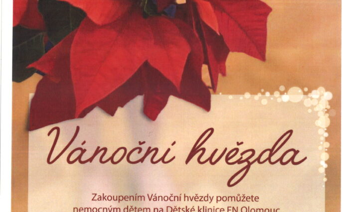 vanocni_hvezda_23