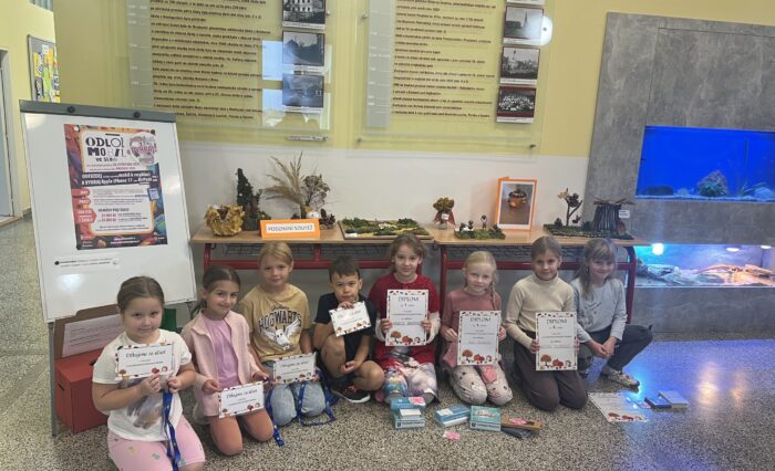 IMG_7982 (1) IMG_7982 (1)